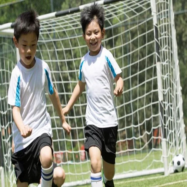 泰山队新外援亮相：赛季新希望 - kaiyun.com